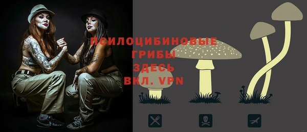 герыч Алзамай