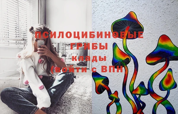 кокс Алексеевка
