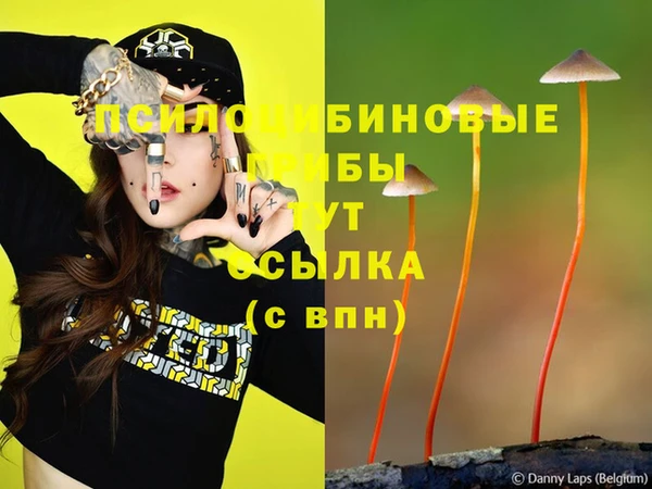 герыч Алзамай