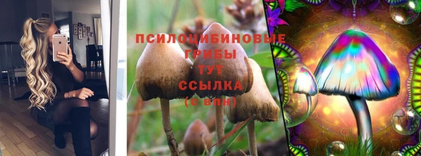 герыч Алзамай