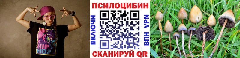 Псилоцибиновые грибы мухоморы  наркота  Киселёвск 