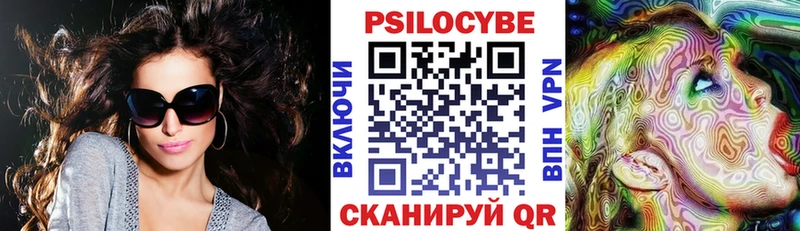 Псилоцибиновые грибы Psilocybine cubensis Киселёвск